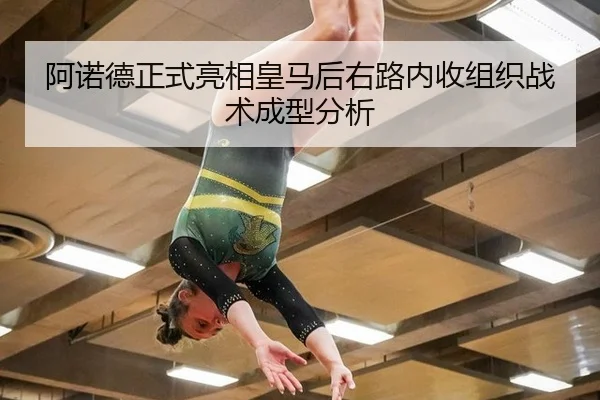 a-nuo-de-zheng-shi-liang-xiang-huang-ma-hou-you-lu-nei-shou-zu-zhi-zhan-shu-cheng-xing-fen-xi-2-525.jpg