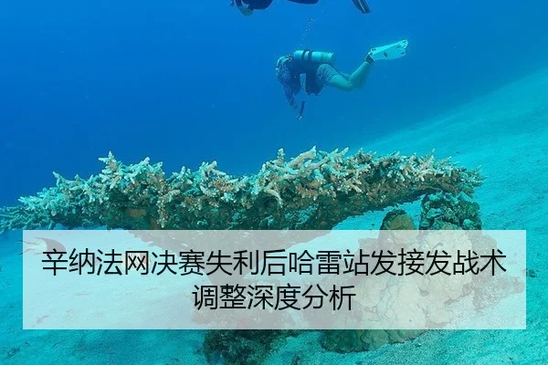 辛纳法网决赛失利后哈雷站发接发战术调整深度分析（okooo）
